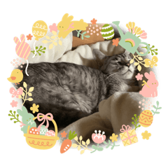 mitsuki_20230321213903