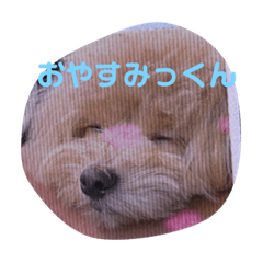 Aoi_20230321221702