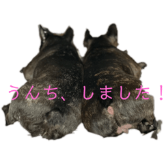 nao_20230321222151