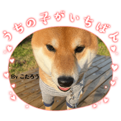 KOTARO_20230321231205