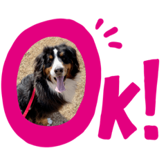 arisa_20230322013917