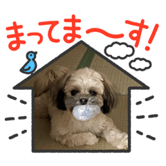 chisa_20230322114743