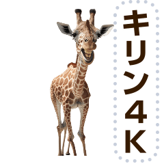 giraffe Dokkirin message