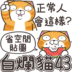 ランラン猫 43 (台湾版)