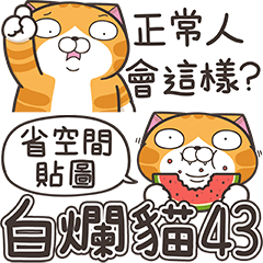 Lan Lan Cat 43 – LINE stickers | LINE STORE