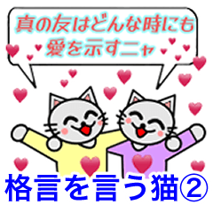 格言を言う猫② ★いま大切にしたいもの★