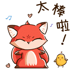 The daily life of cute little fox Huhu