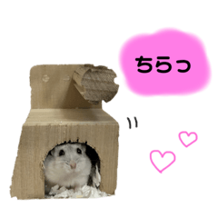 omochi_20230321203506
