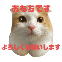 Omochi_20230321223941