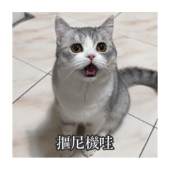 Coni機哇 第二彈