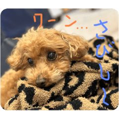 miyuu_20230322173423