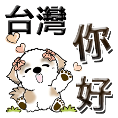 シーズー犬 『台湾の言葉』