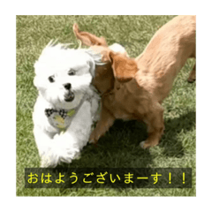 unisuke_20230322221534