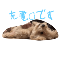Aoi_20230322222130