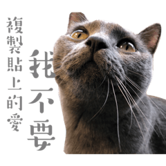 咘嚕的BLUE日記2
