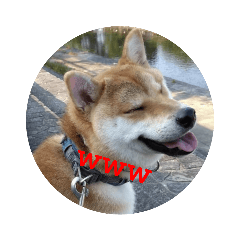 tomya_20230322180156