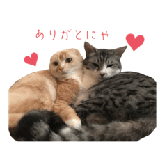 konatsu_20230323075021