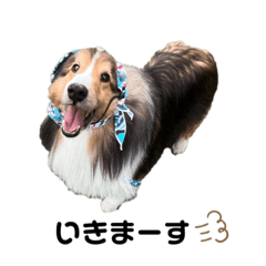 alice_20230323102627