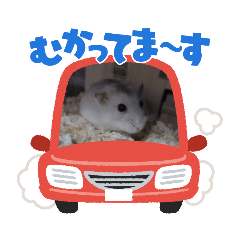 omochi_20230323134731