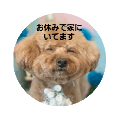 hana_20230323125934