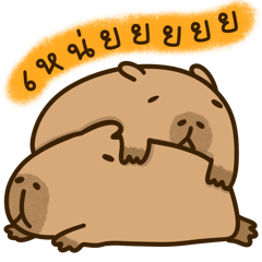 Kapi Capybara: Daily Use (TH)