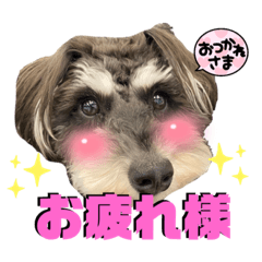 Nao_20230323151334