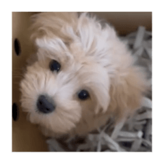 SUNNY_20230323152349