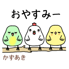 kazuaki the world of birds