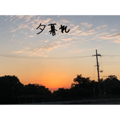 Sakura_20230323180830