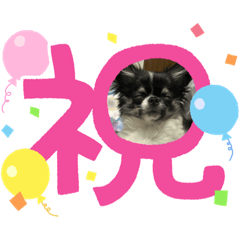 YUN_20230323195419