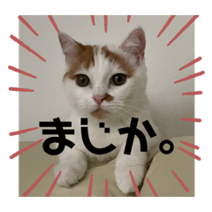 Omochi_20230323200354