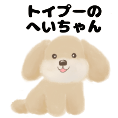 toy poodle heichan