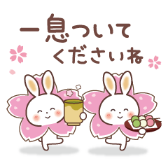 Cherry blossom spring rabbit