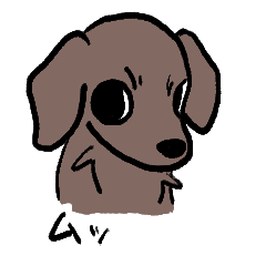 grumpy dachshund