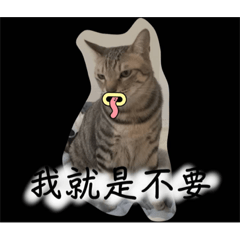 臭小子家族系列
