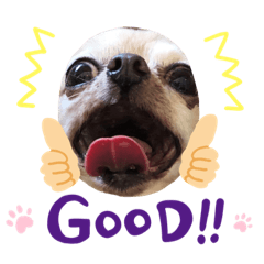 chisa_20230324024142