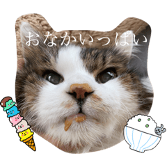 suzu_20230324011023