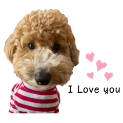 Hikari_20230323222913