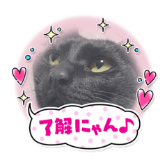 Sakura_20230323225002