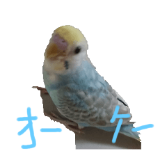 kii_20230324104724