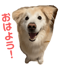 HIKARI_20230324133852