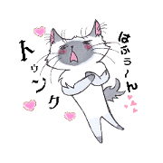 arinko_20230324095652