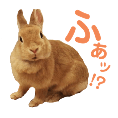 yuka_20230324191021