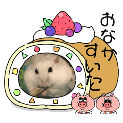 suzu_20230324161255