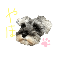 Hana_20230324201527