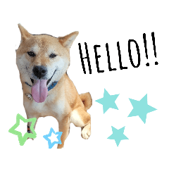 sayuri_20230324194620