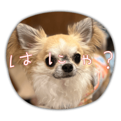 NAO_20230324172834