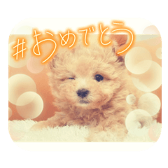 suzu_20230324172931