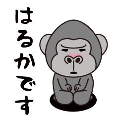 Interesting sticker gorilla(Haruka)