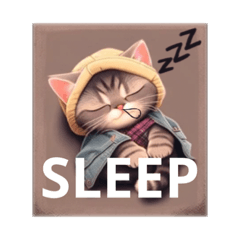 Danny cute cat letter